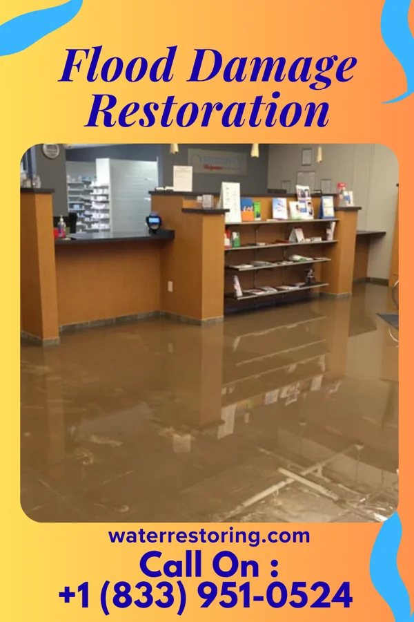 Flood Damage Restoration in Grand Coteau, LA