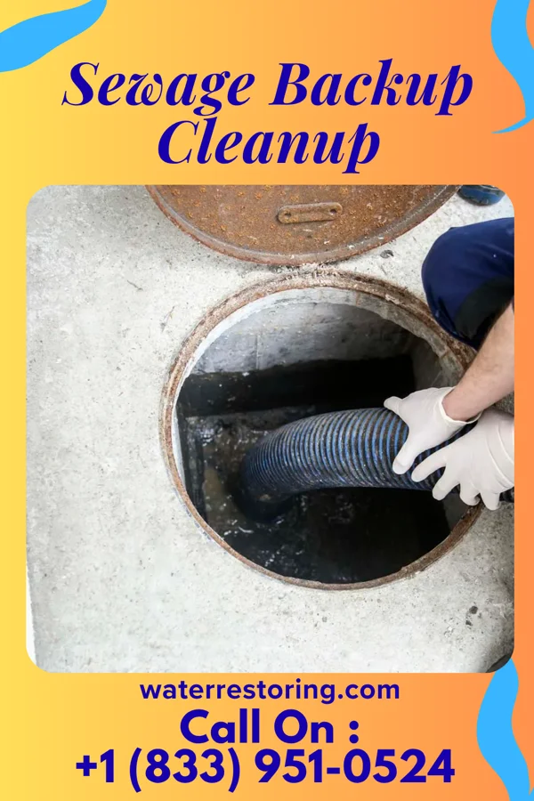 Sewage Backup Cleanup in Grand Coteau, LA